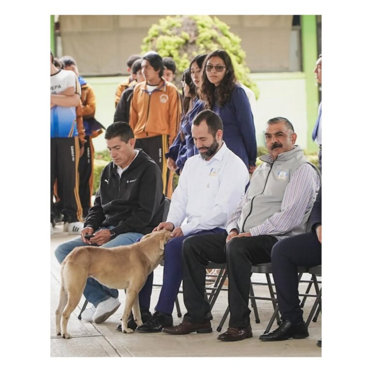 Instagram post from robertorobie. This post is in position 2.